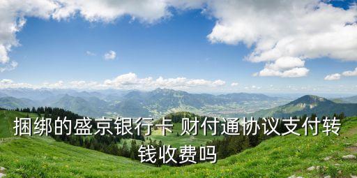 捆綁的盛京銀行卡 財付通協(xié)議支付轉(zhuǎn)錢收費嗎