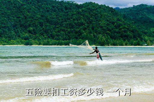  五險(xiǎn)要扣工資多少錢 一個(gè)月