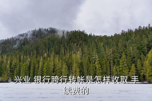 興業(yè)銀行柜員機(jī)轉(zhuǎn)賬手續(xù)費多少