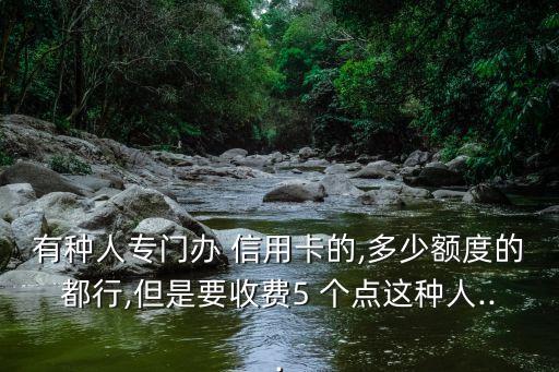 有種人專門辦 信用卡的,多少額度的都行,但是要收費5 個點這種人...
