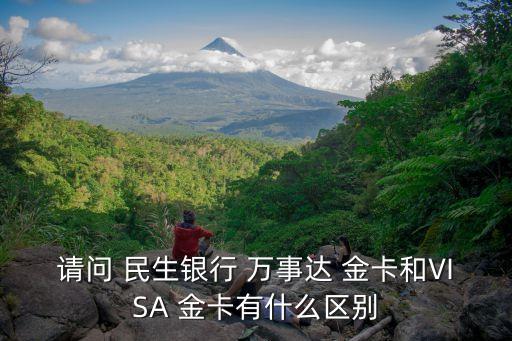 請問 民生銀行 萬事達(dá) 金卡和VISA 金卡有什么區(qū)別