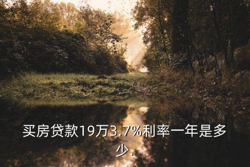 19萬4年利息多少,2023年存25萬利息多少