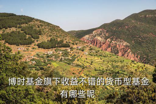 博時(shí)合惠多少起購(gòu)