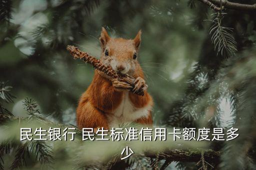 民生萬(wàn)事達(dá)全幣種金卡額度多少