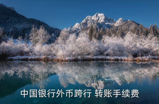 外匯轉(zhuǎn)賬最低多少錢,外匯一次性可以轉(zhuǎn)賬多少