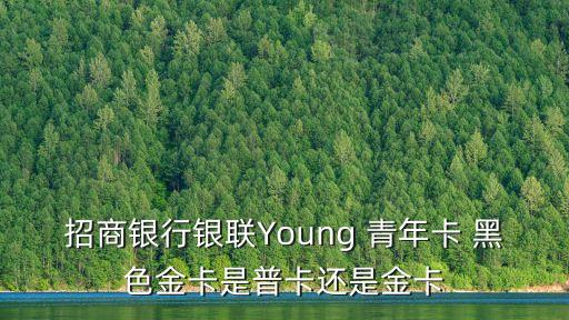 招行青年黑色額度多少,招行young青年卡額度