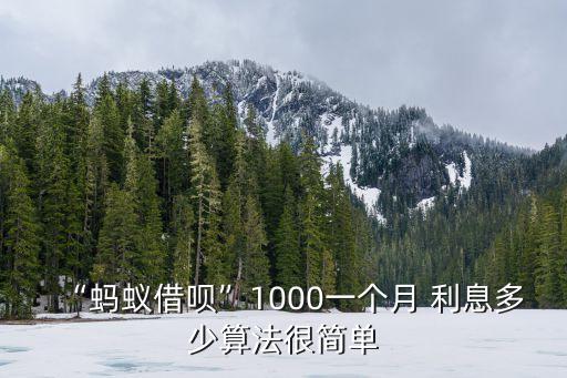 “螞蟻借唄”1000一個(gè)月 利息多少算法很簡單