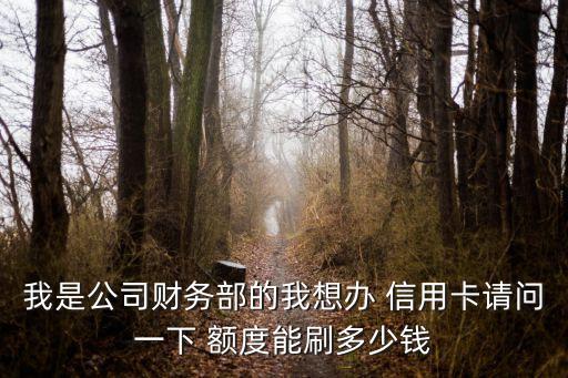 我是公司財務部的我想辦 信用卡請問一下 額度能刷多少錢