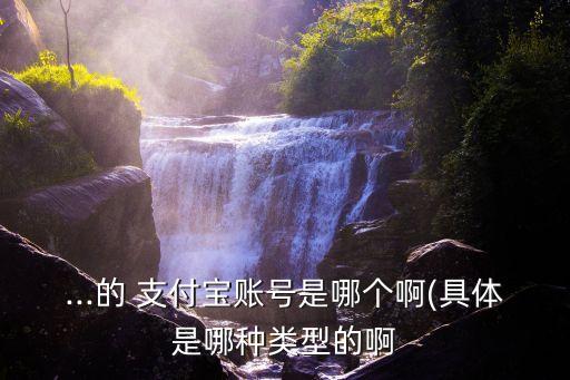 支付寶初始密碼是多少,高校貸款支付寶賬戶初始密碼
