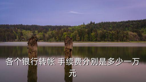 各個(gè)銀行轉(zhuǎn)帳 手續(xù)費(fèi)分別是多少一萬元