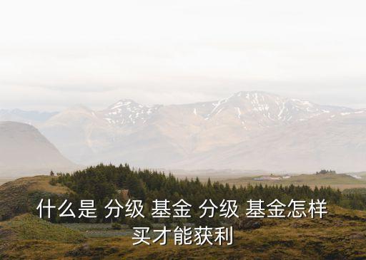 什么是 分級 基金 分級 基金怎樣買才能獲利