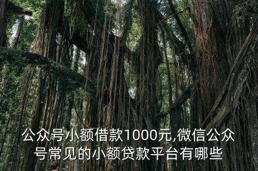 平安i貸一千到賬多少錢(qián)