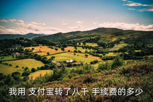 我用 支付寶轉(zhuǎn)了八千 手續(xù)費(fèi)的多少