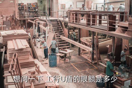 想問一下 工行U盾的限額是多少