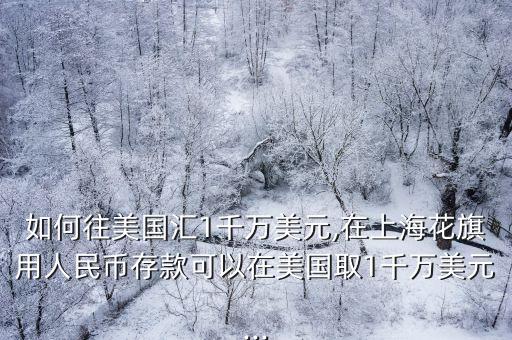 如何往美國(guó)匯1千萬(wàn)美元,在上?；ㄆ煊萌嗣駧糯婵羁梢栽诿绹?guó)取1千萬(wàn)美元...