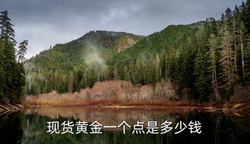 現(xiàn)貨黃金一個點是多少錢