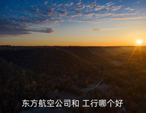 東方航空公司和 工行哪個好