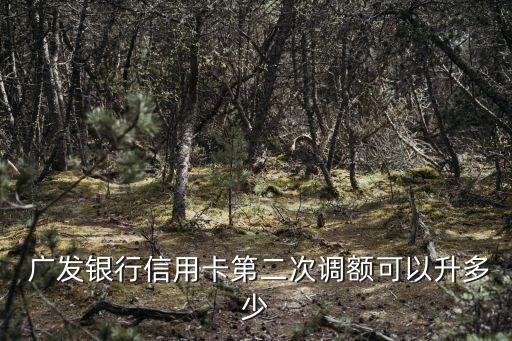  廣發(fā)銀行信用卡第二次調(diào)額可以升多少