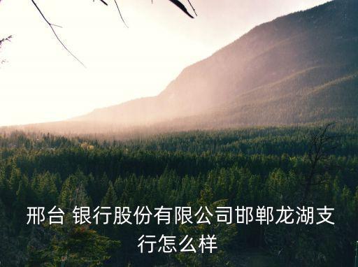  邢臺 銀行股份有限公司邯鄲龍湖支行怎么樣