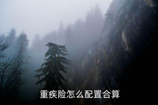  重疾險怎么配置合算