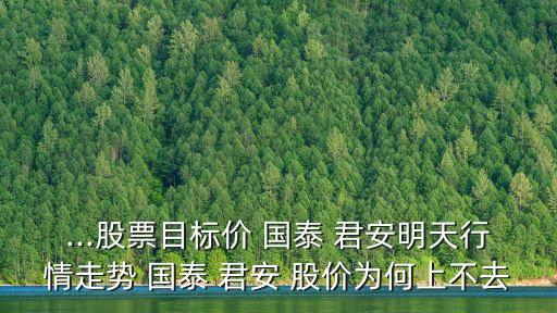 國泰君安股價多少錢