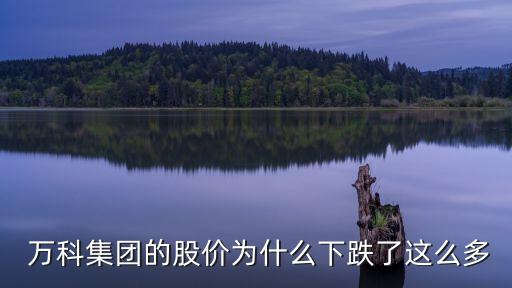  萬(wàn)科集團(tuán)的股價(jià)為什么下跌了這么多