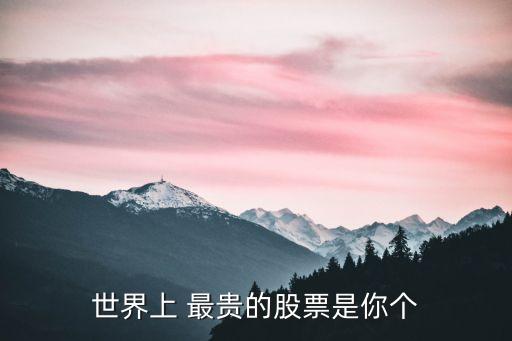 世界上 最貴的股票是你個(gè)