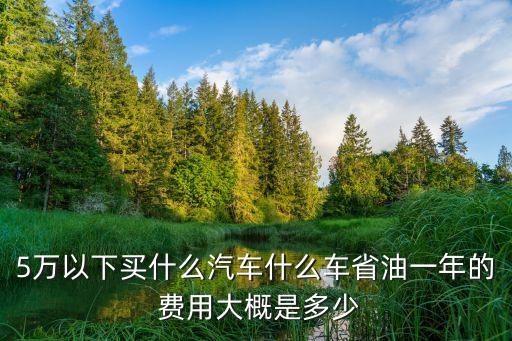 5萬以下買什么汽車什么車省油一年的 費用大概是多少