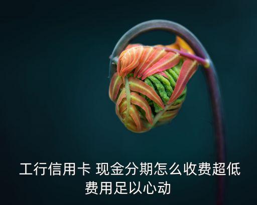 工行貸現(xiàn)金分期手續(xù)費(fèi)多少錢,工行分期手續(xù)費(fèi)為什么一次性扣了