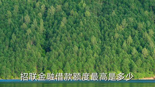 招聯(lián)好期貸可以貸多少