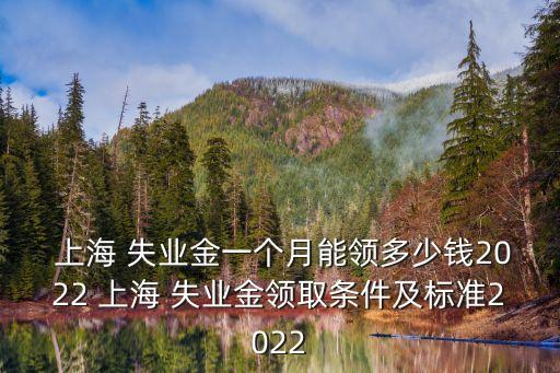 上海失業(yè)保險金多少錢,2023上海失業(yè)保險金多少錢