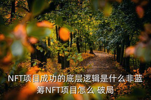 破局投資多少錢拍攝