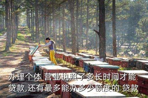 憑營業(yè)執(zhí)照可以貸款多少,公司營業(yè)執(zhí)照能貸款多少錢
