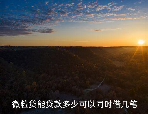 微信微粒貸第一次能借多少錢