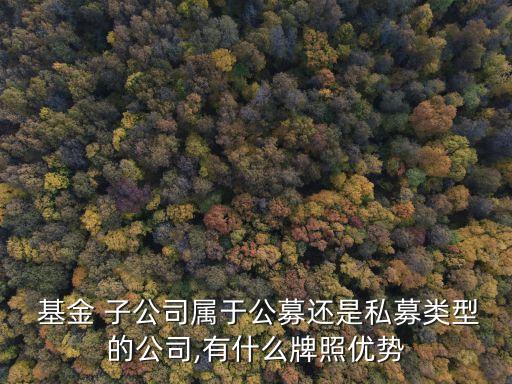  基金 子公司屬于公募還是私募類型的公司,有什么牌照優(yōu)勢
