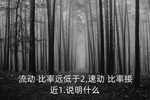  流動 比率遠(yuǎn)低于2,速動 比率接近1.說明什么