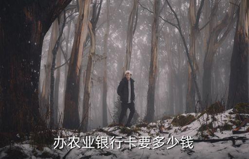 農(nóng)行卡辦一張多少錢2015,想辦張農(nóng)行卡怎么辦