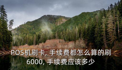 鄭州pos機套現(xiàn)手續(xù)費多少,pos機刷10000手續(xù)費