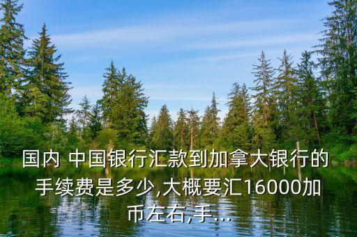 國內(nèi) 中國銀行匯款到加拿大銀行的 手續(xù)費(fèi)是多少,大概要匯16000加幣左右,手...