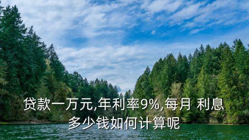 九九聚財(cái)借款利息多少
