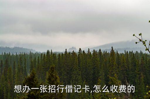 想辦一張招行借記卡,怎么收費的
