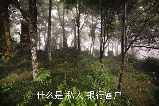 私人銀行 多少資產(chǎn),成為私人銀行客戶的資產(chǎn)要求