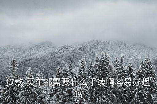 貸款 買車都需要什么手續(xù)啊容易辦理嗎