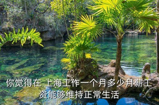 你覺得在 上海工作一個月多少月薪工資能夠維持正常生活