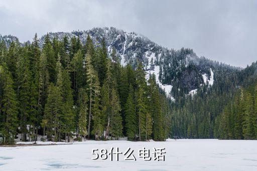 58什么電話