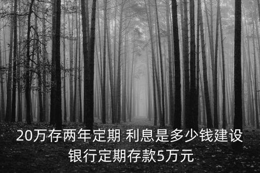 20萬(wàn)存兩年定期 利息是多少錢建設(shè) 銀行定期存款5萬(wàn)元
