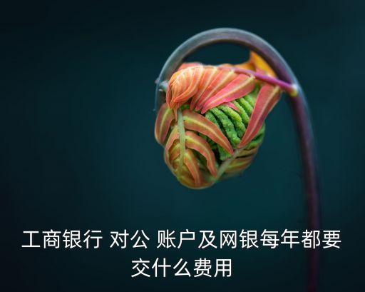 工商銀行 對(duì)公 賬戶及網(wǎng)銀每年都要交什么費(fèi)用