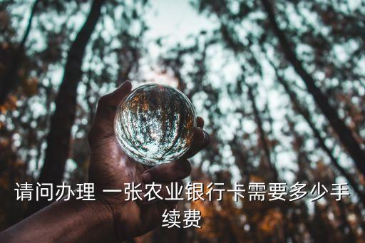請問辦理 一張農(nóng)業(yè)銀行卡需要多少手續(xù)費