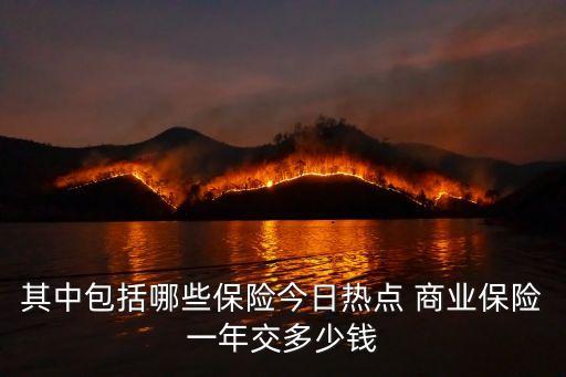 商業(yè)保險(xiǎn)的費(fèi)用多少錢,個(gè)人商業(yè)保險(xiǎn)要交多少錢一年