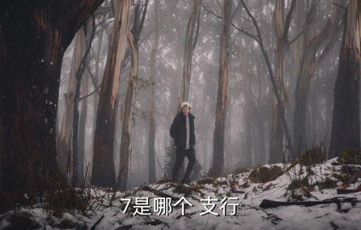 7是哪個(gè) 支行